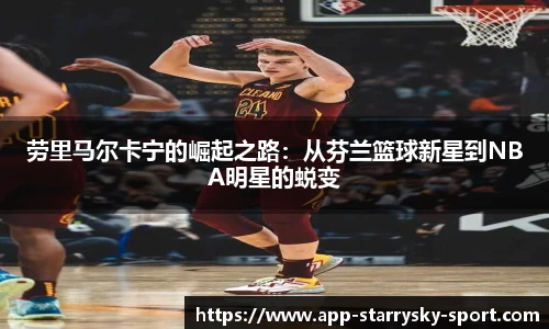 星空体育官网入口